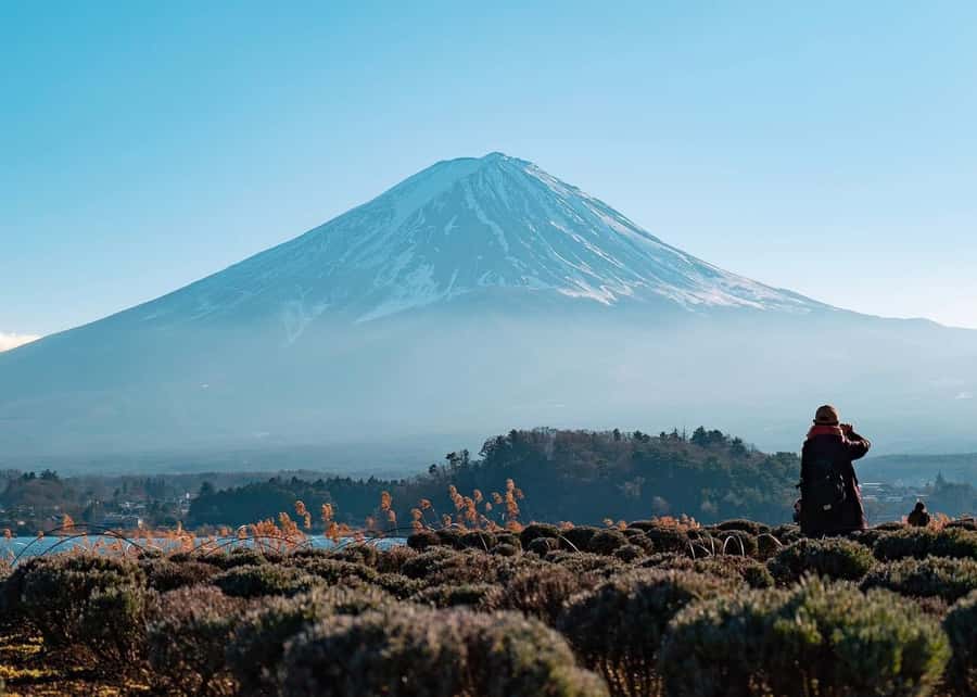 Mount Fuji Full-Day Private Sightseeing Tour with Guide - Private Mount Fuji Tour from Tokyo: What Makes It Feel Worth It