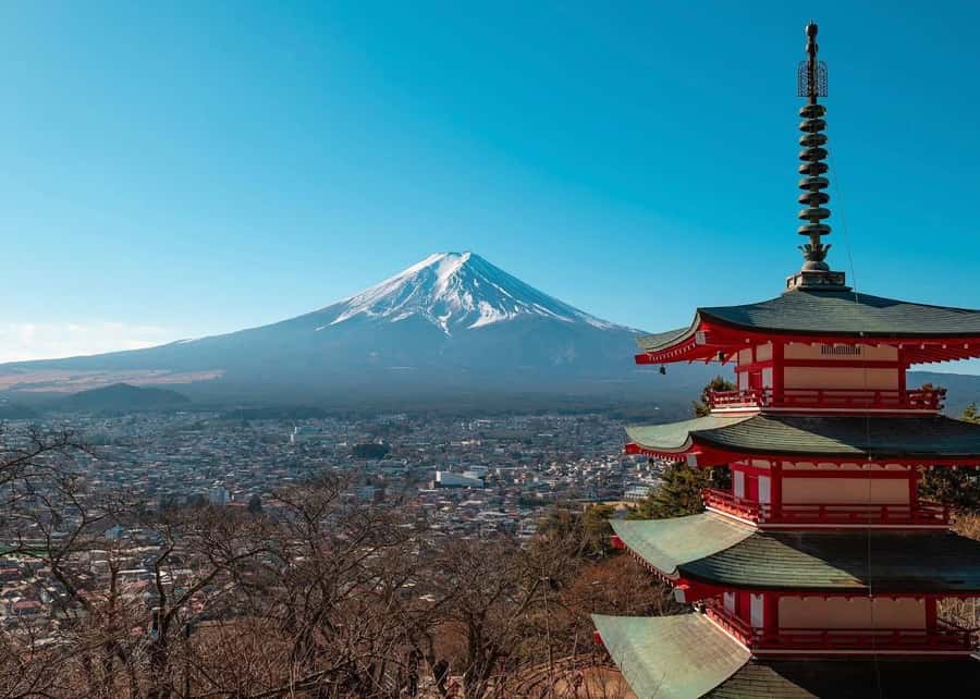 Mount Fuji Full-Day Private Sightseeing Tour with Guide - Weather-Smart Planning: How Guides Handle Cloud Cover and Visibility