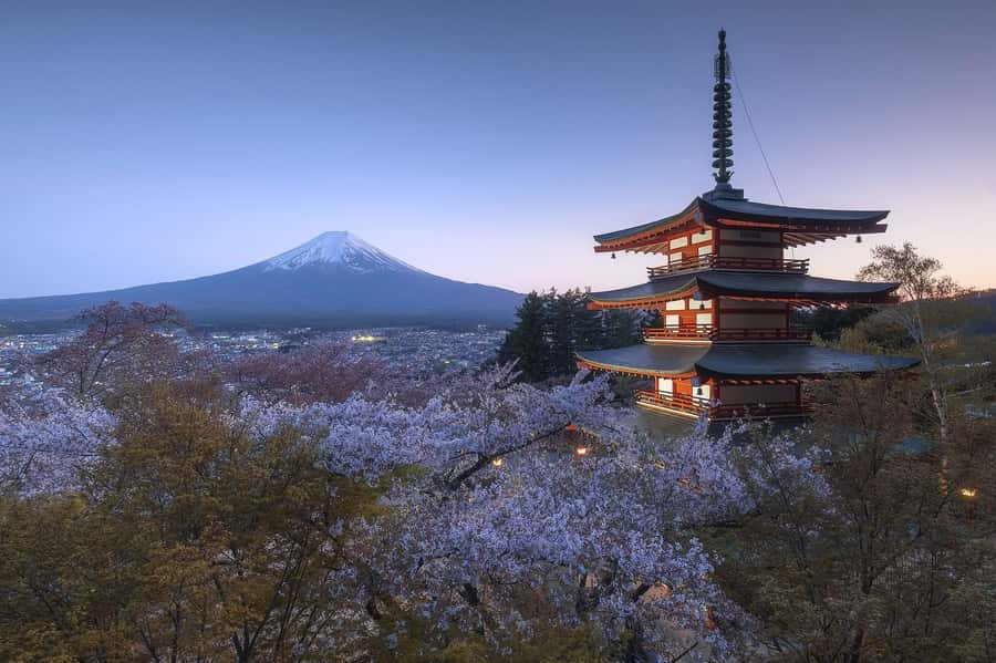 Mount Fuji Full-Day Private Sightseeing Tour with Guide - Photo Stops That Feel Like You Have a Plan (Not Just a Schedule)