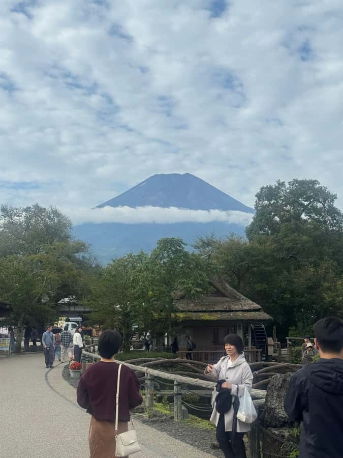 Mount Fuji Full-Day Private Sightseeing Tour with Guide - Price and Logistics: When This Private Day Makes Financial Sense