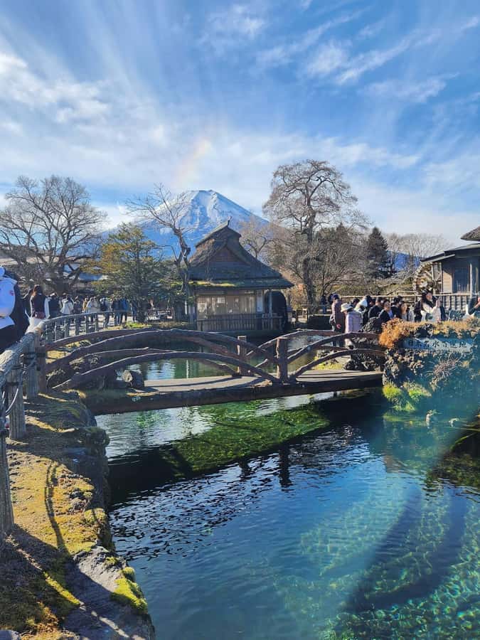 Mount Fuji Full-Day Private Sightseeing Tour with Guide - Pickup, Comfort, and Getting Out of Tokyo Without Losing Time