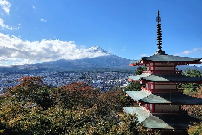Mount Fuji Full-Day Private Tour from Tokyo (Customizable) - Why a private Mount Fuji day feels easier than DIY