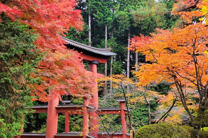 Mount Fuji Full-Day Private Tour from Tokyo (Customizable) - Kitaguchihongo Shrine and the quick culture stops you might not skip