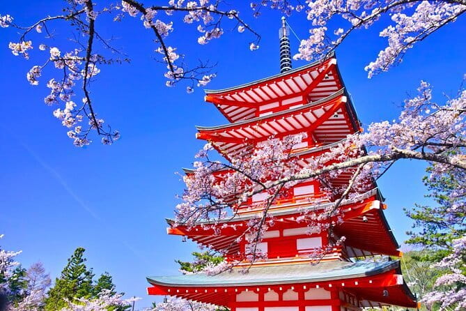 Mount Fuji Full Day Sightseeing Tour from Tokyo - Meeting Points, WiFi on Board, and the Bus Comfort Reality