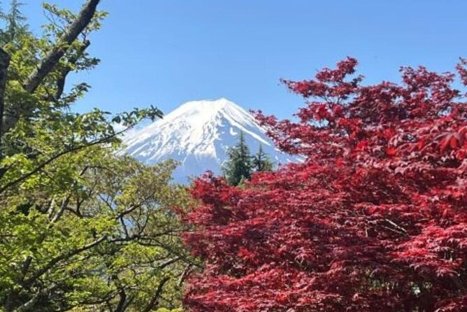Mount Fuji & Lake Kawaguchi Day Trip with English-speaking Driver - Private Pickup Makes the Fuji Day Feel Shorter