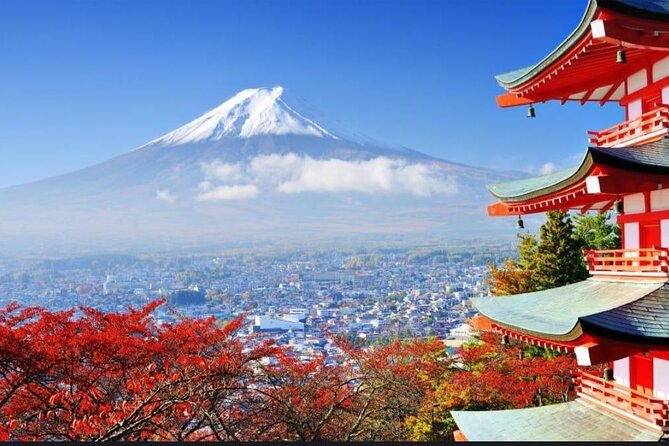 Mount Fuji & Lake Kawaguchi Day Trip with English-speaking Driver - Saiko Iyashi no Sato Nenba: A Healing Village Stop