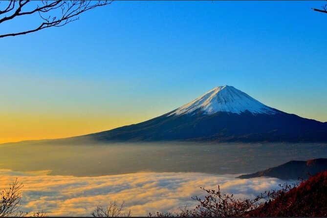 Mount Fuji & Lake Kawaguchi Day Trip with English-speaking Driver - Lake Yamanaka: The Biggest Lake Stop for a Breather