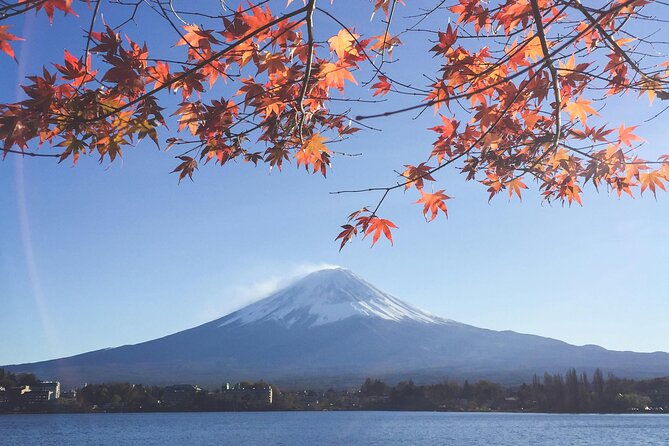 Mount Fuji (Mt. fuji) private tour by car with pickup from Tokyo - Your Day, Your Stops: How Customization Actually Helps