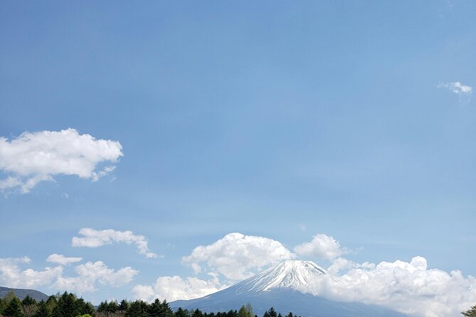 Mount Fuji (Mt. fuji) private tour by car with pickup from Tokyo - Lake Kawaguchiko: Where You Actually Settle In for Fuji Views