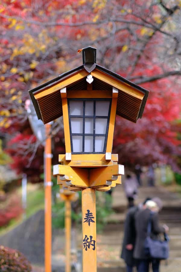Mount Fuji Private Day Trip With Customizable Itinerary - Hakone classics: Ropeway options, Owakudani, and Lake Ashi time