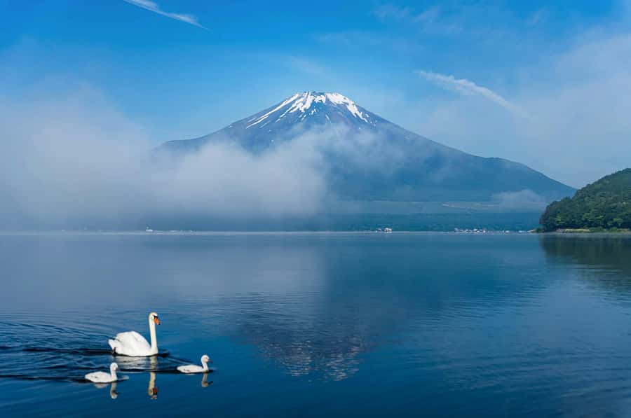 Mount Fuji Private Day Trip With Customizable Itinerary - Who this tour fits best, and who should reconsider