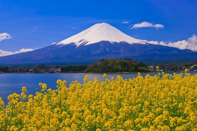 Mount fuji Private Tour - Why a Private Mount Fuji Day Trip From Tokyo Works