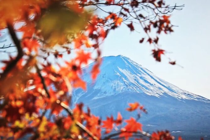 Mount fuji Private Tour - Stop 4: Oishi Park, Scenic Views and a Drive That Pays Off