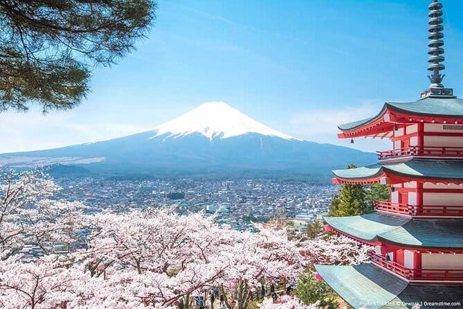 Mount Fuji Sightseeing Private tour w English speaking chauffeur - Kitaguchi Hongu Fuji Sengen Jinja Shrine: an older Mount Fuji gateway