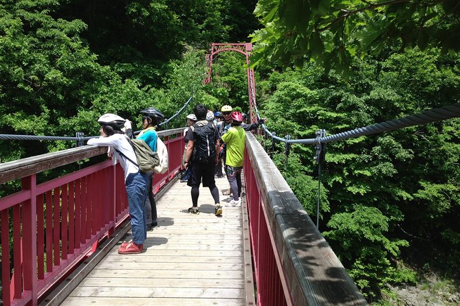 Mountain Bike Tour from Sapporo Including Hoheikyo Onsen and Lunch - Bikes, helmets, and small-group comfort for the money