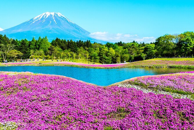 Mt. Fuji 5th, Oshino Hakkai, Onsen Full-Day Trip From Tokyo - A One-Day Fuji Plan Without Tokyo Transit Headaches