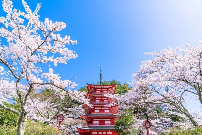 Mt. Fuji 5th, Oshino Hakkai, Onsen Full-Day Trip From Tokyo - Arakurayama Sengen Park: The View Stop Built for Photos