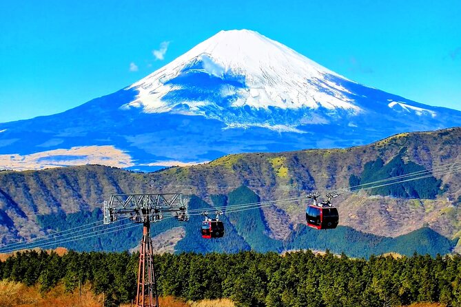 Mt Fuji and Hakone 1-Day Bus Tour Return by Bus - Odawara or Shinjuku Drop-Off, and How to Plan Your Return to Tokyo