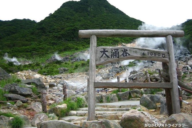 Mt. Fuji and Hakone Day Trip From Tokyo with Bullet Train Option - Hakone Ropeway: the ride that turns photos into a story