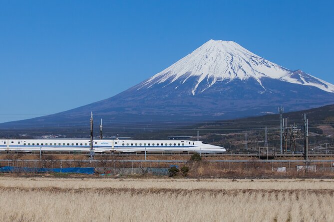Mt. Fuji and Hakone Day Trip From Tokyo with Bullet Train Option - Meeting in Shinjuku: find LOVE, then relax