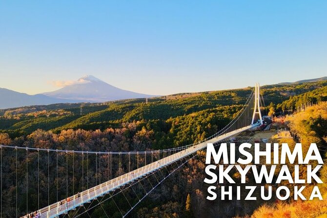 Mt. Fuji and Hakone Private Tour with English Speaking Guide - Arakurayama Sengen Park: the classic Fuji postcard moment