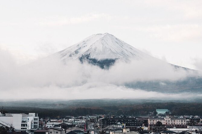 Mt. Fuji and Lake Kawaguchi Day Trip with Private Car - Saiko Iyashi no Sato Nemba: Old Houses, Rentals, and a Different Pace