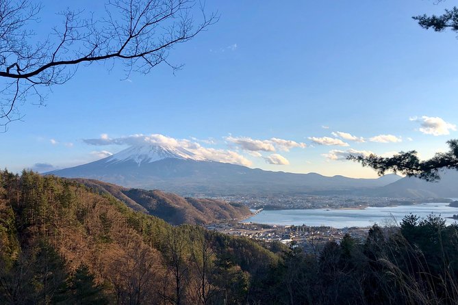 Mt Fuji Area Private Guided Tours in English-Nature up close, quiet, personal - Lake Kawaguchiko and Lake Saiko Drives: Where the Day Usually Starts