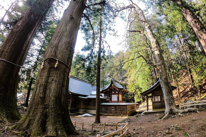 Mt Fuji Area Private Guided Tours in English-Nature up close, quiet, personal - Asama Shrine and the 1,200-Year-Old Cedar Forest