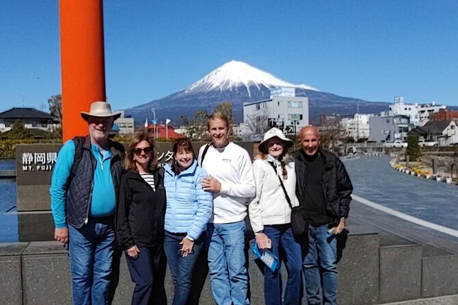 Mt.Fuji area Tour from Shimizu Port / Van Taxi - Who should book this tour, and when you should stay flexible