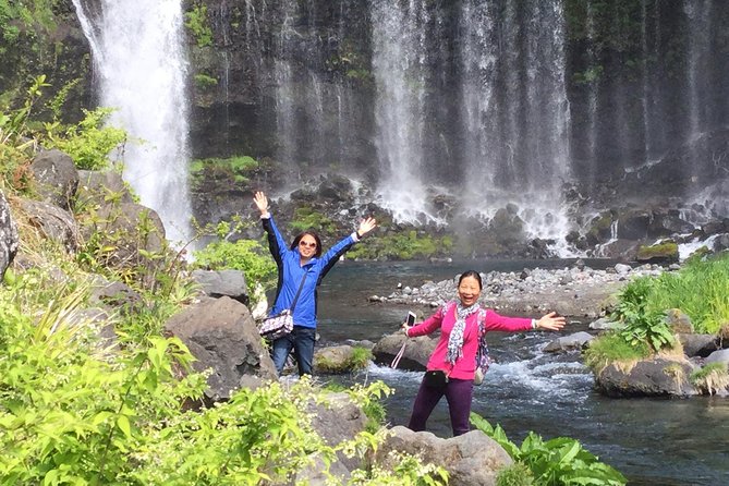 Mt.Fuji area Tour from Shimizu Port / Van Taxi - Should you book this private Mt. Fuji day from Shimizu Port?