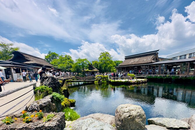 Mt. Fuji, Cherry Blossom & Shiba Sakura Pvt. Day Tour - Oshino Hakkai: world heritage water plus a flower village feel