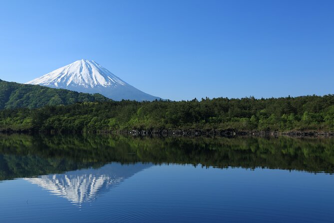 Mt Fuji Customizable Private Tour English Speaking Driver Pick-up - Why a Private Mt Fuji Car Changes Your Whole Day