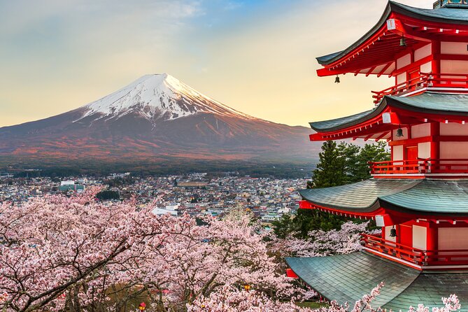 Mt Fuji Customizable Private Tour English Speaking Driver Pick-up - English-Speaking Driver, Real Local Advice, and Better Photos