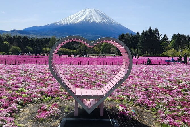 Mt. Fuji Day tour: Kawaguchi Lake Ropeway, Matcha, Oshino Hakkai - Who should book this Mt. Fuji day tour