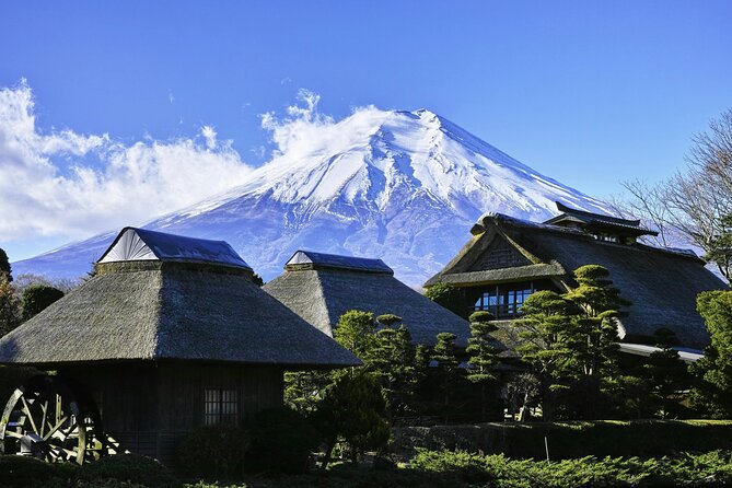 Mt FUJI Day Tour with Private Car and English Speaking Guide - Oshino Hakkai spring village: clear water and easy wandering