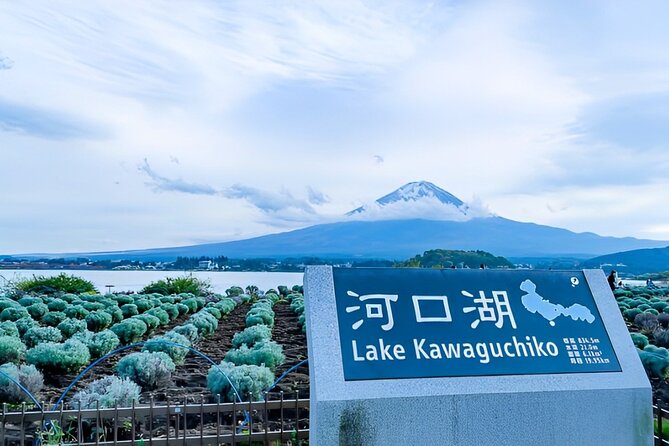 Mt FUJI Day Tour with Private Car and English Speaking Guide - Chureito Pagoda and Arakura Sengen Shrine: the Fuji postcard moment