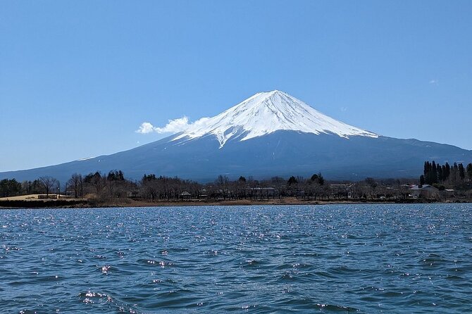 Mt. Fuji Day Trip from Tokyo with English Speaking Driver Guide - Why a private Fuji day beats DIY for most people
