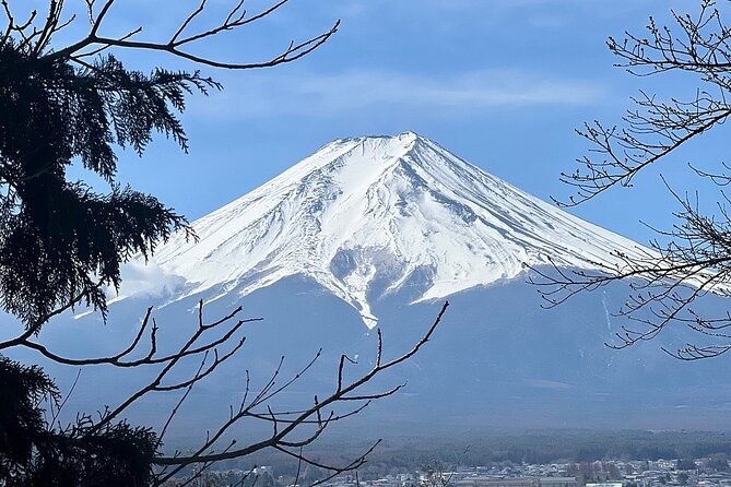 Mt. Fuji Day Trip from Tokyo with English Speaking Driver Guide - Oishi Park: Fuji and lake at the same time