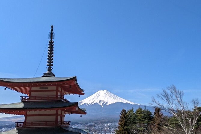Mt. Fuji Day Trip from Tokyo with English Speaking Driver Guide - Price and value for a group up to 7