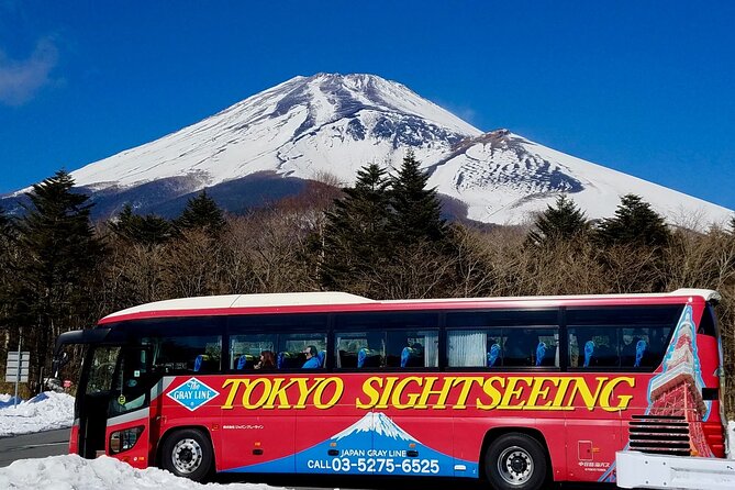 Mt. Fuji & Hakone Bus Tour Bullet Train Return & 28-Hotel Pick-up - Quick hits before you go