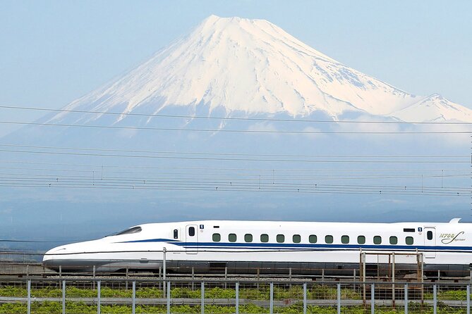 Mt. Fuji & Hakone Bus Tour Bullet Train Return & 28-Hotel Pick-up - Price and value: where $145.35 makes sense