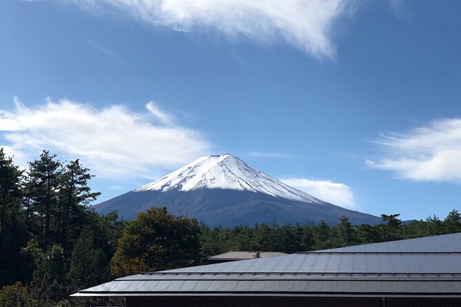 Mt. Fuji & Hakone Bus Tour Bullet Train Return & 28-Hotel Pick-up - Morning logistics: 8:30 pickup, mobile tickets, and how the day moves