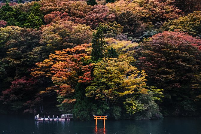 Mt Fuji & Hakone Cruise, Drum Show Bullet Train 1 Day from Tokyo - Lake Ashinoko cruise on the Sorakaze: short but scenic