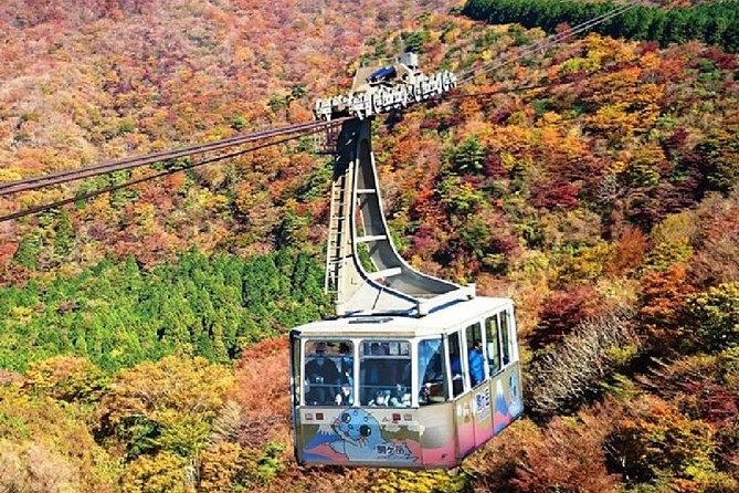 Mt Fuji & Hakone Cruise, Drum Show Bullet Train 1 Day from Tokyo - Mt Komagatake Ropeway: 360 degree views plus a shrine moment