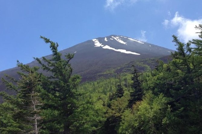 Mt Fuji & Hakone Cruise, Drum Show Bus 1 Day from Tokyo - Fuji Backup Stops When Visibility Is Low