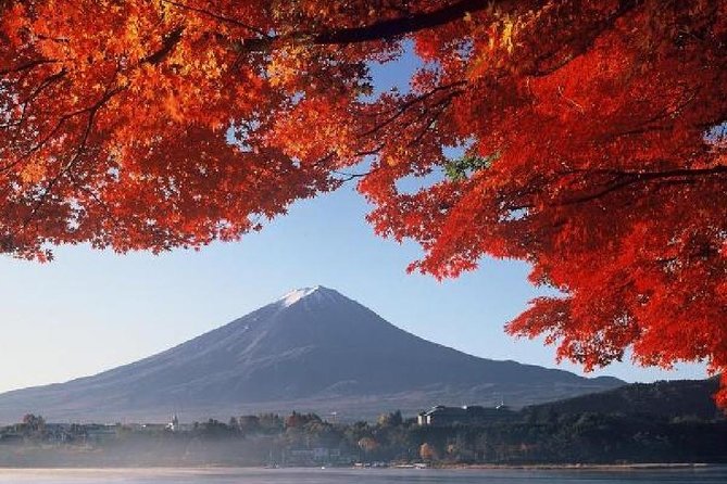 Mt Fuji & Hakone Cruise, Drum Show Bus 1 Day from Tokyo - Komagatake Ropeway: Cable Car Time Plus Spiritual Stops