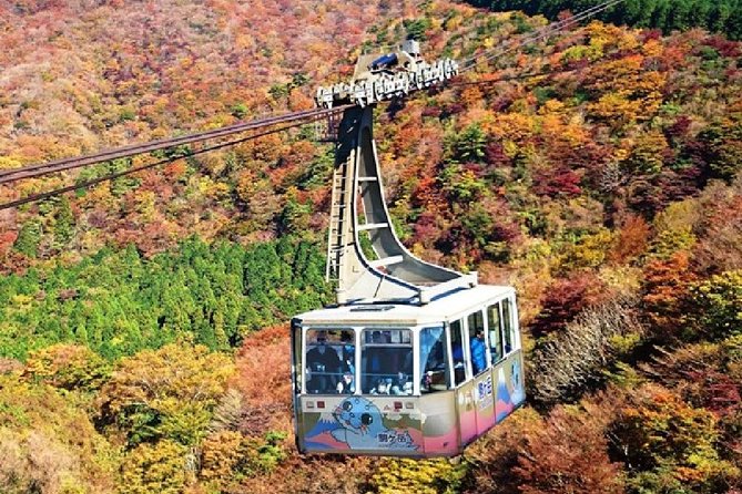 Mt Fuji & Hakone Cruise, Drum Show Bus 1 Day from Tokyo - Lunch at Fuji Zakura Hotel, Plus Wadaiko Drums