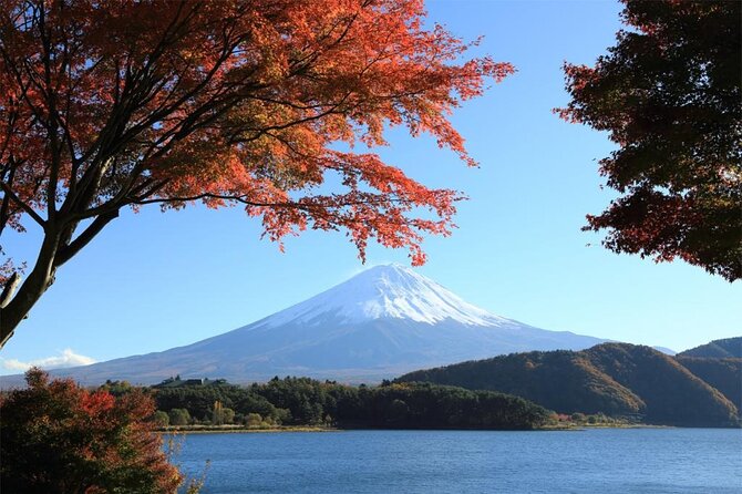 Mt Fuji & Hakone Cruise, Drum Show Bus 1 Day from Tokyo Sta. Area - Price and What You Are Actually Paying For