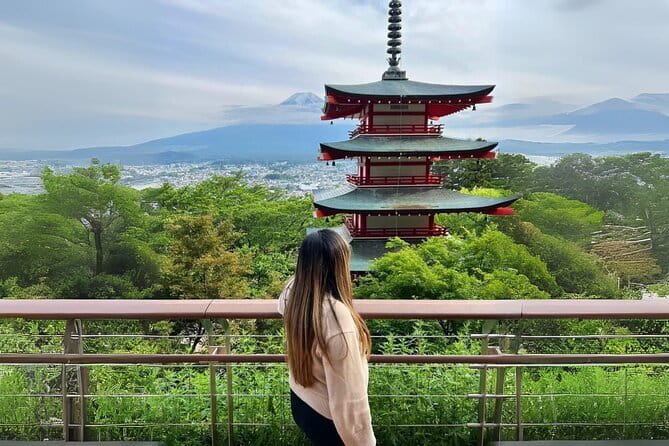 Mt fuji & Hakone customizable day tour w/ English speaking driver - A private driver turns a long route into a calm day