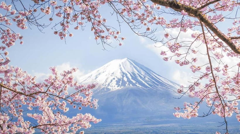 Mt.Fuji Hakone Day Tour With Lake Ashi Cruise, FREE Ropeway - Lunch Is On You: How to Handle the No-Lunch-Included Reality